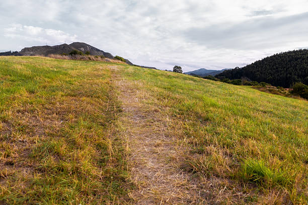 istock Hiking path to the hill 2239595030