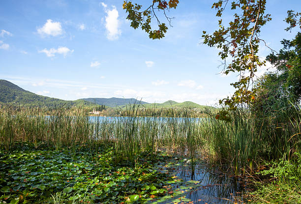 istock Lake of Banyoles in Girona 2239595052