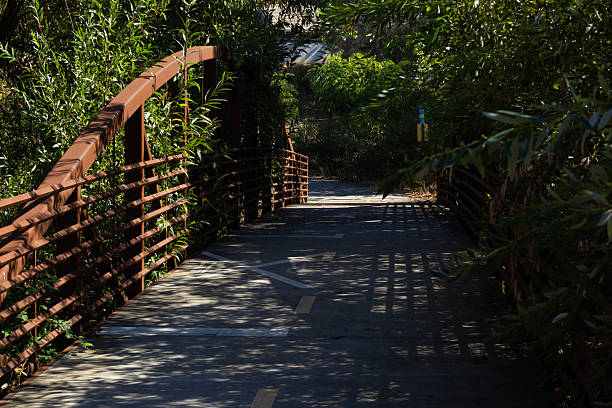 A serene pathway meanders through lush greenery, featuring a charming wooden bridge. The sun casts playful shadows over the smooth concrete surface, creating a peaceful atmosphere.