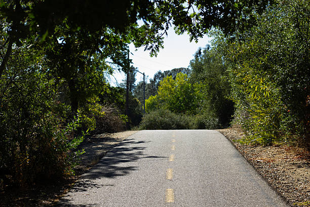 istock Serene Path Through Trees Under Bright Blue Sky on a Sunny Afternoon 2239595825