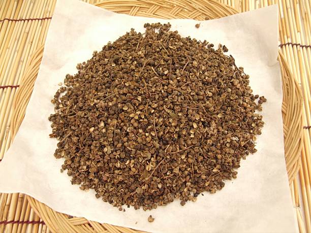 istock Zanthoxylum piperitum, Chopi, aromatic Korean spice tree aiding digestion and detoxification 2239599832