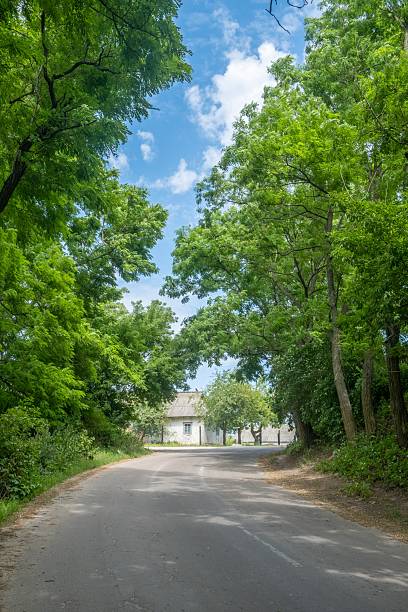 istock road in the forest 2239599923