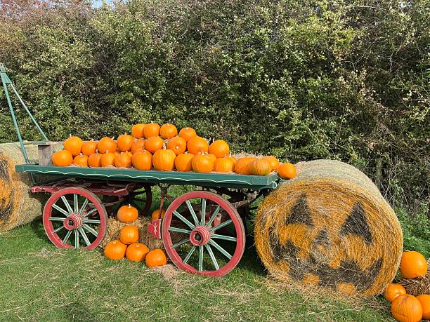 istock Autumn pumpkin display on a wagon 2239603953