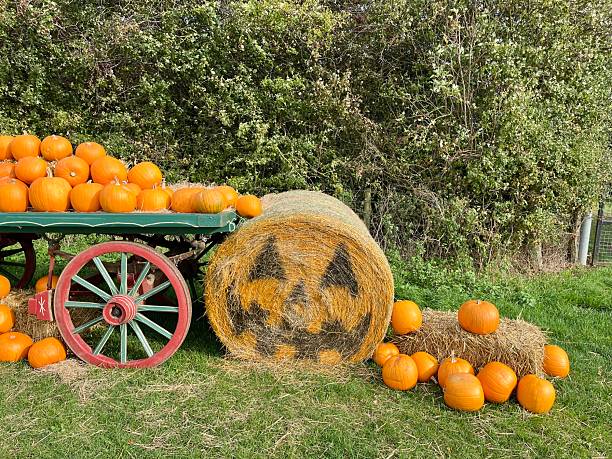 istock Autumn pumpkin display on a wagon 2239603956
