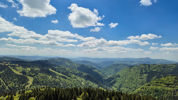 istock A panoramic view of vast, forest-covered hills under a blue sky. 2239606725