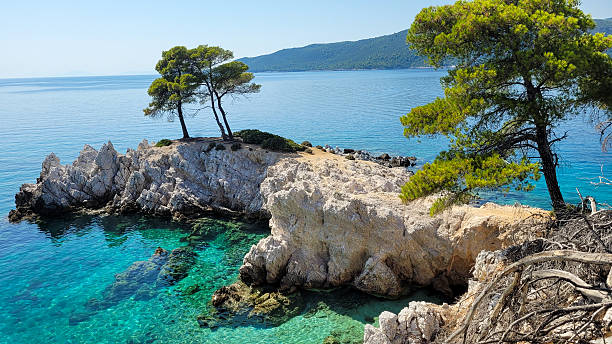 istock Idyllic rocky coast with pine trees and turquoise water in Greece. 2239606805