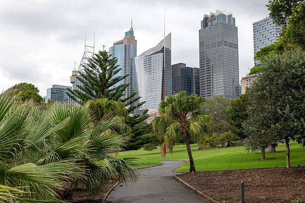 istock Central Business District in Sydney, Australia 2239609108
