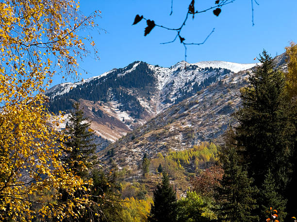 istock Happy family in the mountains 2239609215