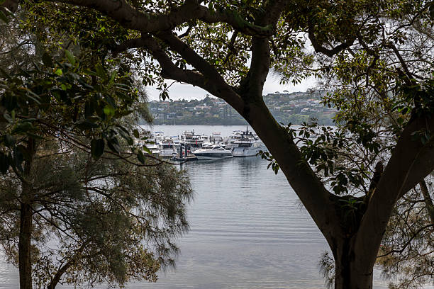 istock Rose Bay waterfront, Sydney, Australia 2239610149