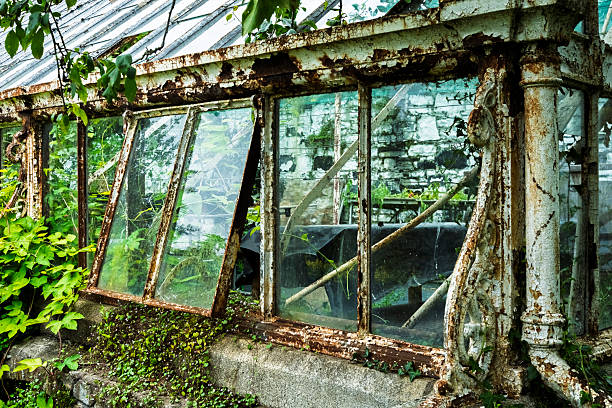 Weathered and aged, the greenhouse structure stands proudly amidst vibrant green foliage, evoking a sense of tranquility and nostalgia for nature's resilience and beauty.