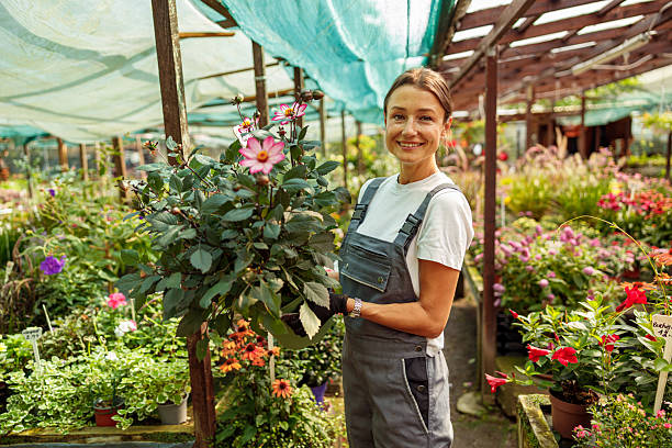 istock A Beautiful Gardener Holding a Vibrant Flower Inside a Lush Greenhouse Environment 2239624721