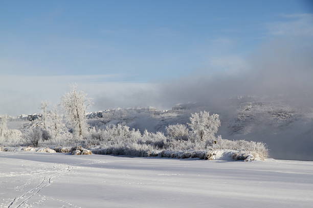 A serene winter morning along the Bow River in Calgary, Alberta, where mist rises from partially frozen waters. The scene captures the quiet resilience of nature in deep winter.