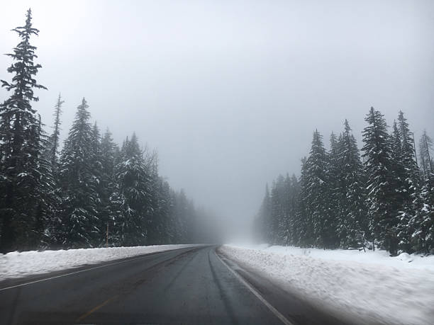 A winding mountain highway in Oregon curves through a dense coniferous forest blanketed in fresh snow on a foggy winter day. Tall evergreen trees line both sides of the wet asphalt road, creating a moody atmospheric scene on the way to go skiing. The thick fog obscures distant peaks while snow accumulates on tree branches and the roadside. Perfect for travel, winter driving safety, seasonal transportation, or nature concepts emphasizing solitude and atmospheric winter landscapes. Shot in the pacific northwest on iphone.