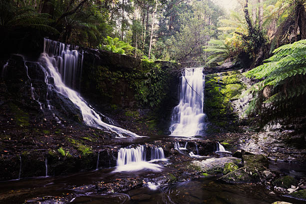 Views of Horseshoe Falls along the Lady Barron Falls Circuit walk in Mt Field National Park on a cold summer afternoon in Tasmania, Australia
