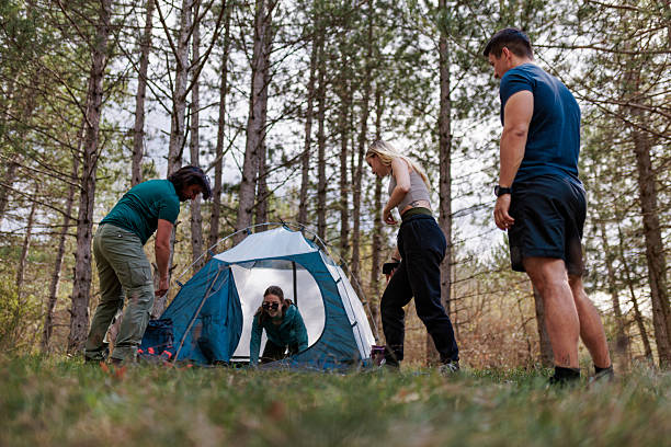istock Friends enjoying time together while camping in a forest setting, setting up a tent surrounded by trees during a sunny afternoon 2239648423