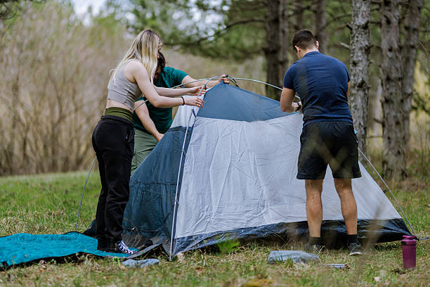 istock Group of friends setting up a tent in a forest during a sunny afternoon while enjoying the outdoors and preparing for a camping adventure in nature 2239648429