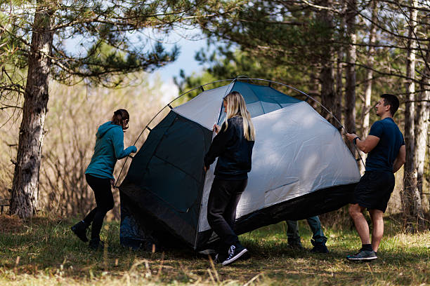 istock Friends set up a camping tent in a serene forest surrounded by trees during a sunny day 2239648492