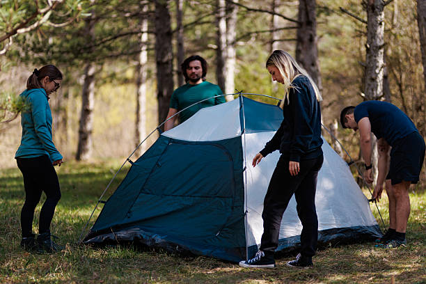istock Friends setting up a tent in the forest during a camping trip on a sunny day surrounded by trees 2239648503