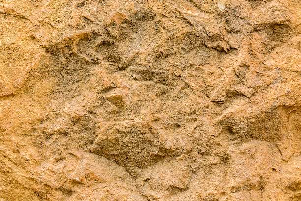 istock Texture of the limestone for background. Natural pattern 2239653308