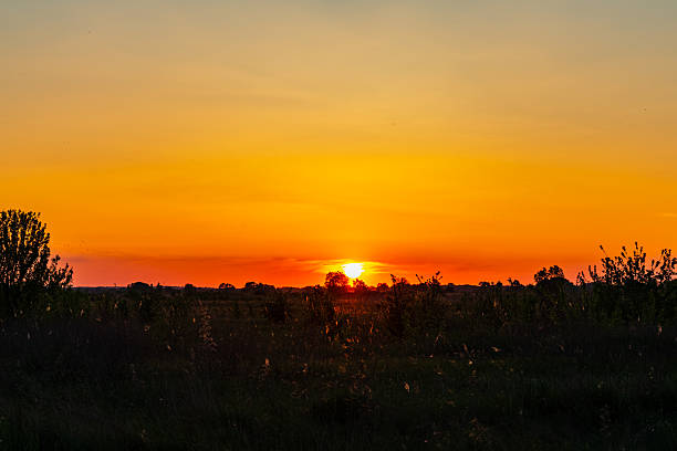 istock Beautiful sunset at the green meadow on spring 2239653328
