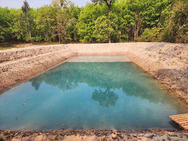 istock The reserve water source in the farmer's farm. 2239657035