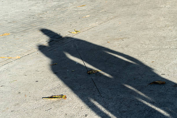 istock A persons long shadow on a concrete sidewalk with autumn leaves 2239660154