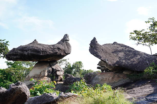 Phu Pha Thoep is a tourist attraction in Mukdahan.