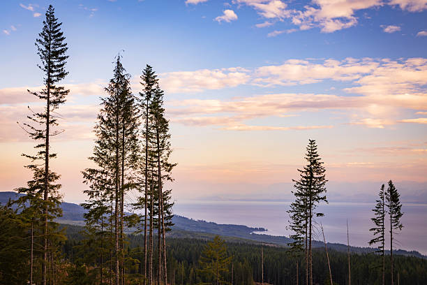 Wilderness area located along Vancouver Islands west coast.