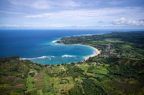istock Hanalei Valley and Bay Aerial View 2239676593