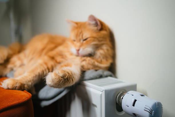 istock Ginger cat napping on a radiator, enjoying the warmth of the central heating system during the cold season, creating a cozy and comfortable home atmosphere 2239690334