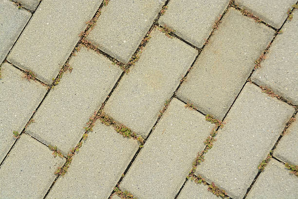 istock A detailed shot of rectangular pavers forming a precise diagonal grid, showcasing a sandy texture suitable for urban, garden, or architectural themes. 2239691188