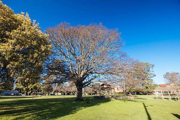 istock Town of Braidwood in Australia 2239691613