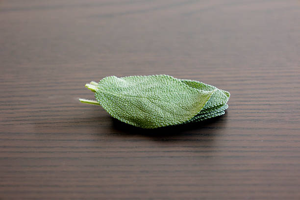 fresh sage leaves on dark background close up