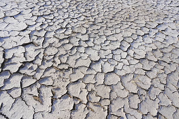 dry season with very arid terrain and little water broken soil virtually no vegetation
