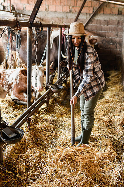istock Woman farmer cleaning the barn 2239702926