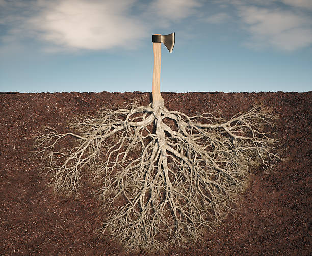 istock Roots intertwine with an axe in soil under blue sky 2239703229