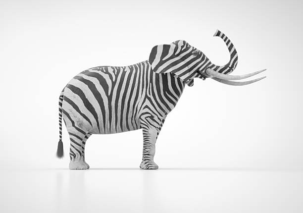 An artistic representation showcases an elephant adorned with zebra-like stripes, set against a minimalist background. The creative design highlights the blend of two distinct animals. This is a 3d render illustration
