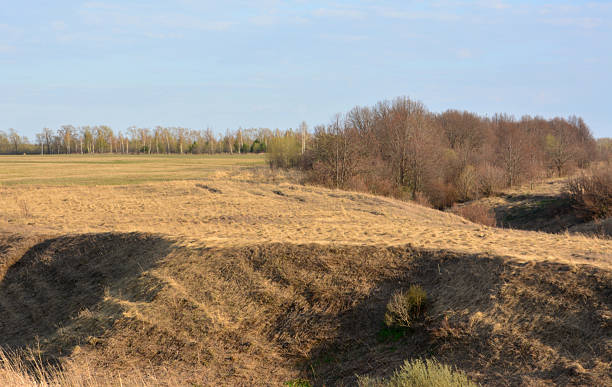 istock Rolling hills and open field landscape under a blue sky autumn 2239703307