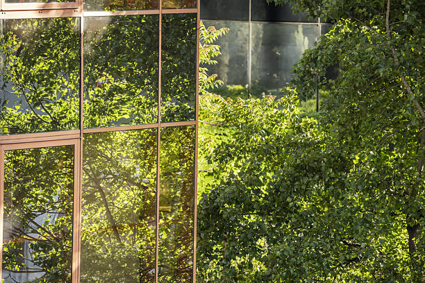 istock A building with glass facades with leafy trees attached to the perimeter 2239704210