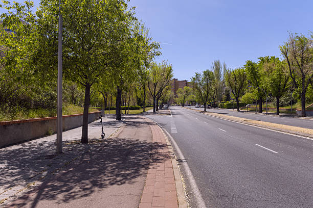 istock An empty street of a city with its trees 2239704268