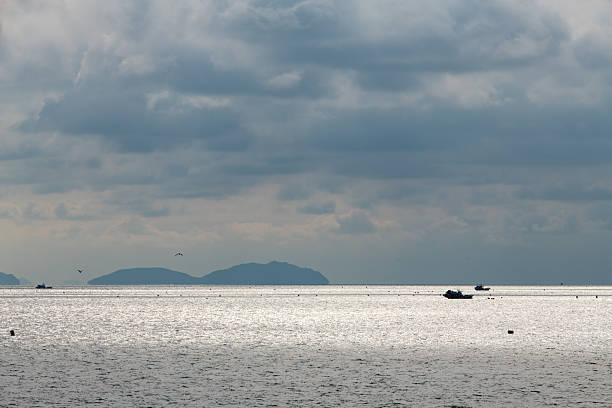 with fishing boats on the calm sea