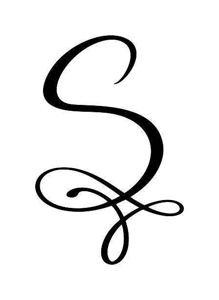 Calligraphic letter S creating an elegant vector handwritten initial. Black uppercase letter a white background, representing alphabet and design