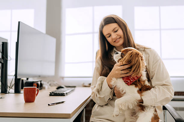 istock Businesswoman holding dog while working at office 2239708544