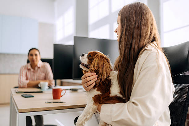 istock Businesswoman holding dog while working at office 2239708562