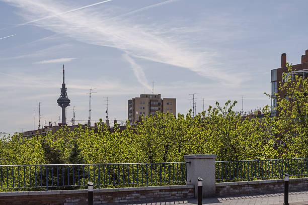 istock Views from an elevated bridge of a wooded urban park 2239711121