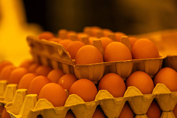 Stacks of fresh brown eggs in cardboard trays illuminated by warm lighting, lifestyle