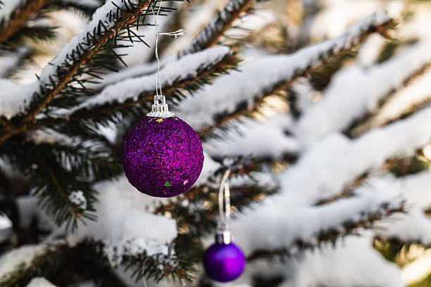 istock Purple Christmas balls hangs on snow covered tree. 2239715734