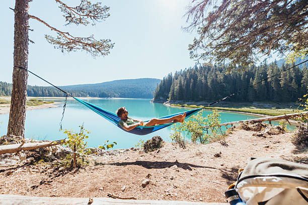 Relaxing lakeside view featuring a tree with a hammock and a park bench nearby, offering tranquility and serene outdoor vibes. Perfect for themes of leisure, nature, and calmness in natural settings.