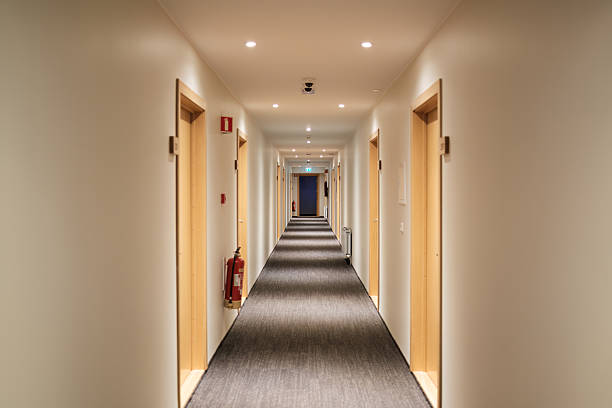 Interior empty hallway in contemporary hotel featuiring carpet floor, symmetrical wooden doors, lighting and safety equipment