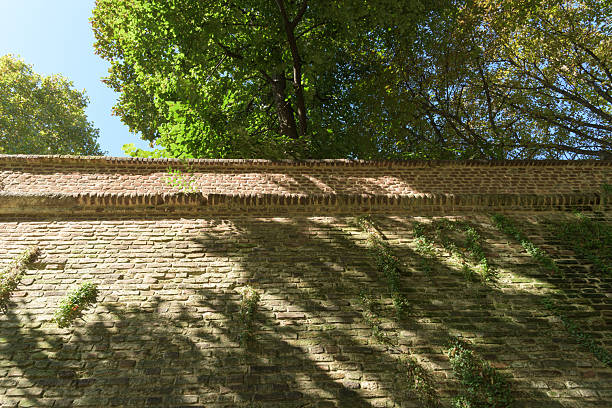 A low-angle shot of an old brick wall, partially covered in ivy, extending upwards to frame a vibrant scene of green trees against a clear blue sky. The image captures the textures of the aged brick and the dappled sunlight filtering through the tree canopy, creating a natural, calming atmosphere.